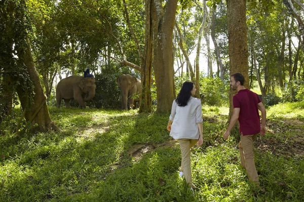 Hotel Anantara Golden Triangle Elephant Camp & Resort (Chiang Saen)